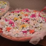 immagine-024